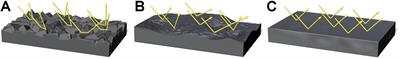 Visual Perception of Moisture Is a Pathogen Detection Mechanism of the Behavioral Immune System